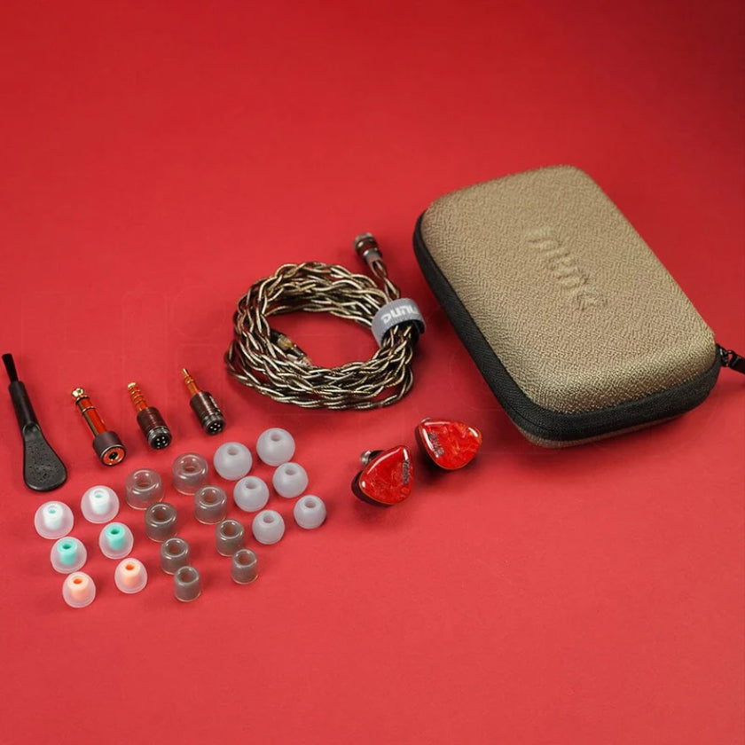 Dunu DN242 2DD+4BA+2 Micro Planar Drivers IEMs