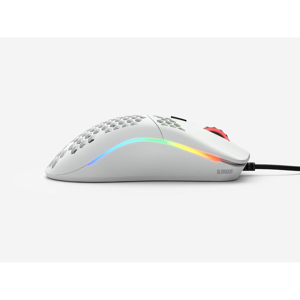 Glorious Model O- Mouse