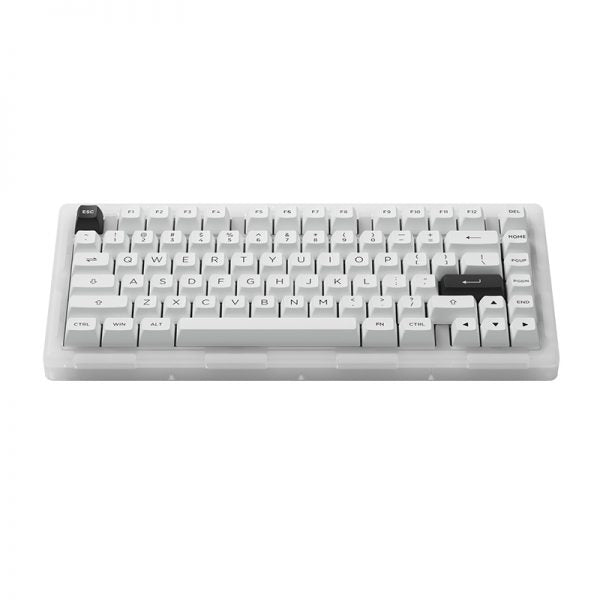 Akko ACR Pro 75 Keyboard Bundle