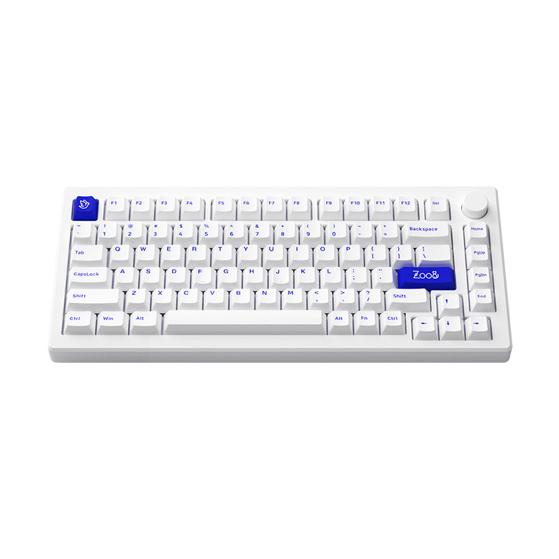AKKO MOD007 PC Keyboard (Piano Switch)