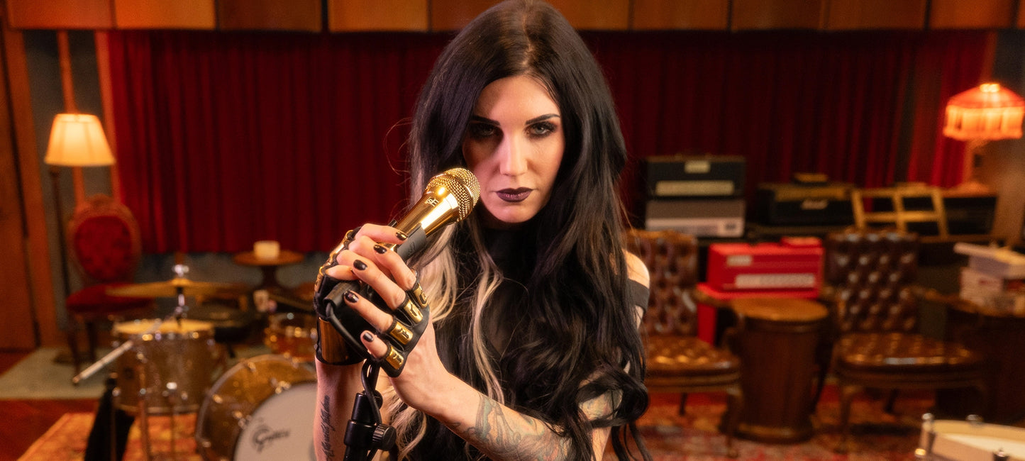 sE Electronics V Series Dynamics Microphone