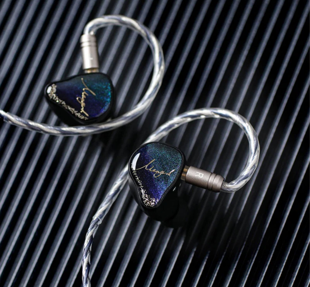 XENNS Mangird Tea PRO Precision Tuning 2DD+6BA Hybrid IEM