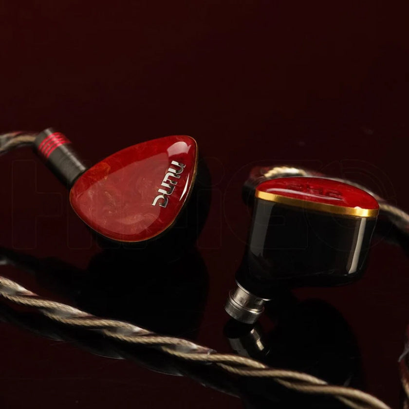 Dunu DN242 2DD+4BA+2 Micro Planar Drivers IEMs
