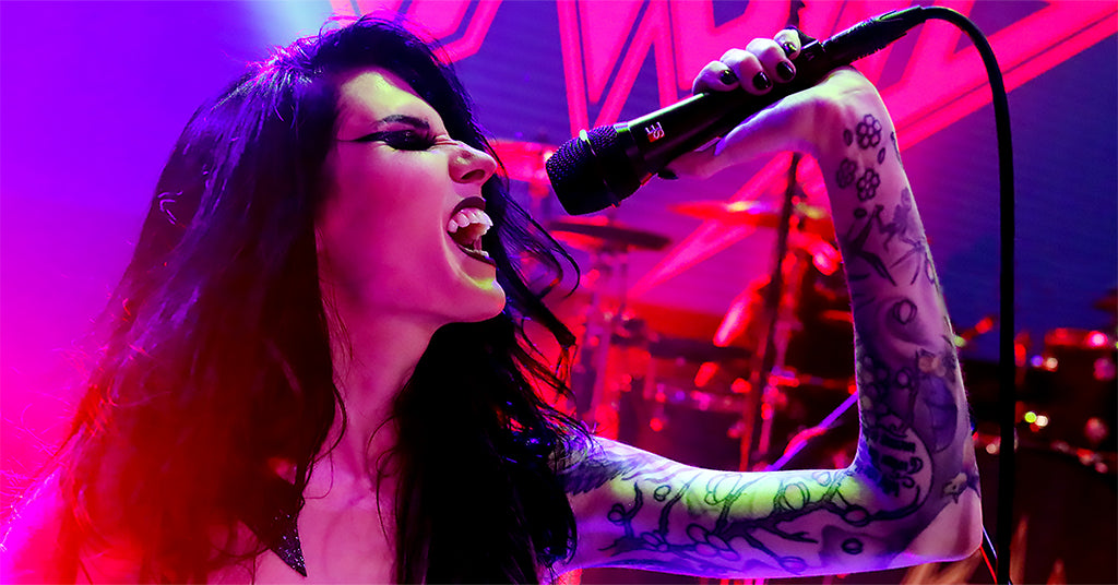 sE Electronics V Series Dynamics Microphone