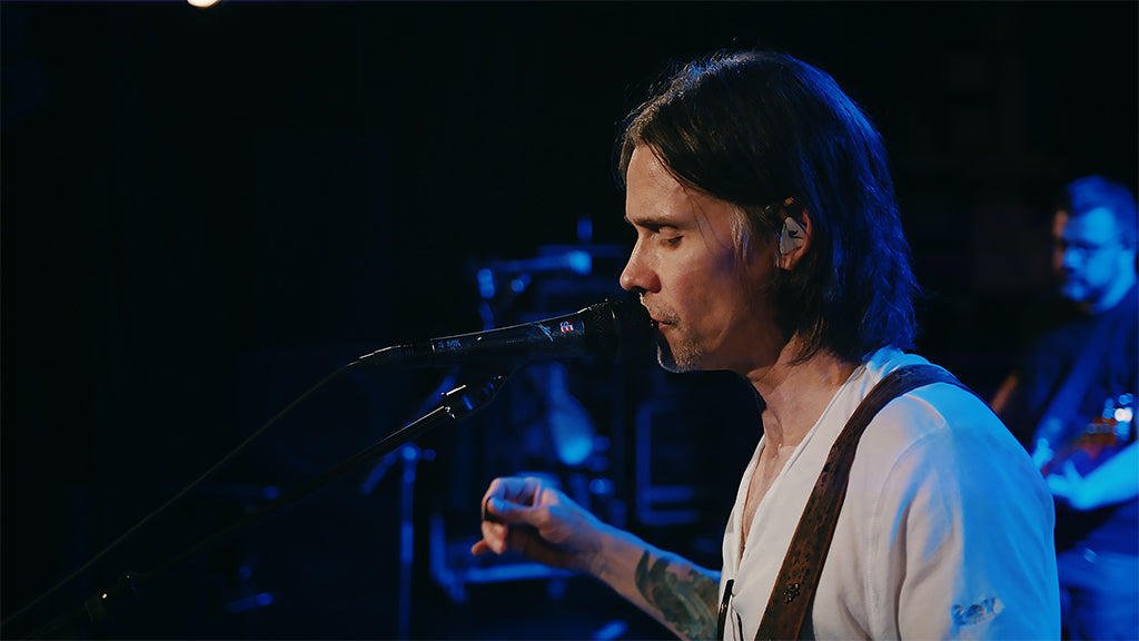 sE Electronics V Series Dynamics Microphone