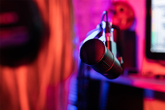 sE Electronics DynaCaster DCM8 Microphone