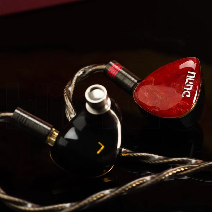 Dunu DN242 2DD+4BA+2 Micro Planar Drivers IEMs
