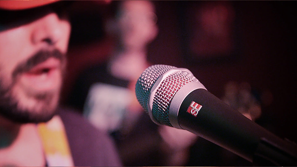 sE Electronics V Series Dynamics Microphone