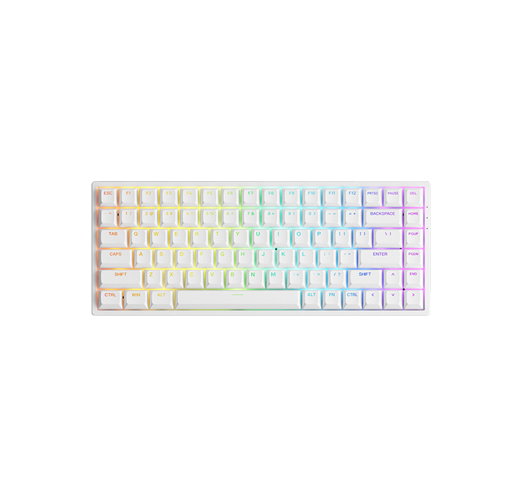 Akko 3084S Shine Through ASA Keyboard