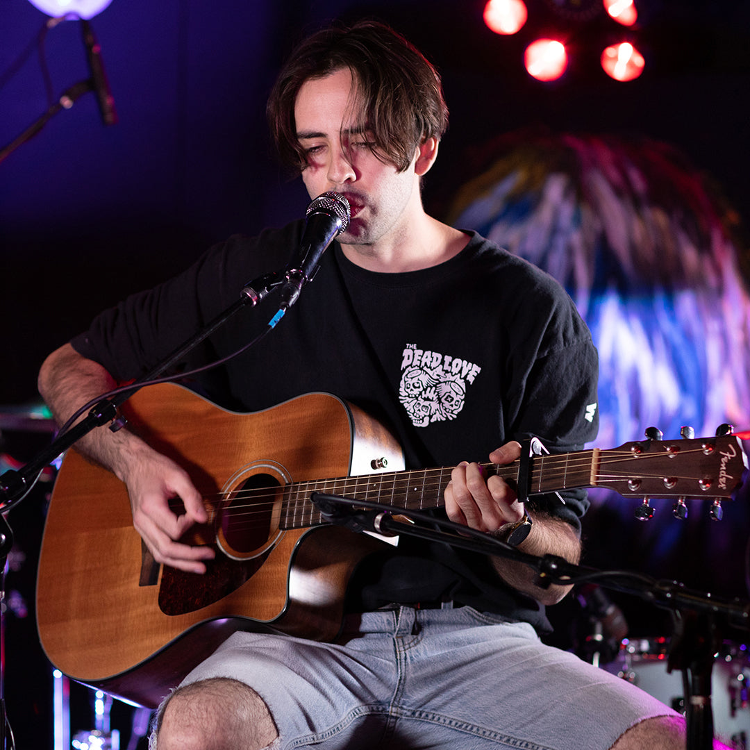 sE Electronics V Series Dynamics Microphone